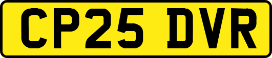 CP25DVR