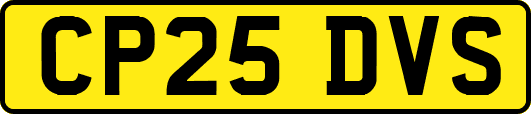 CP25DVS