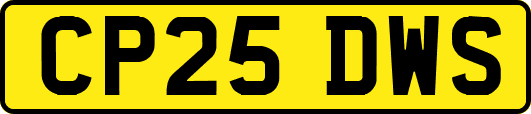CP25DWS