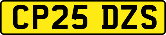 CP25DZS