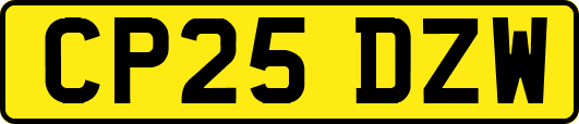CP25DZW