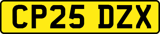 CP25DZX