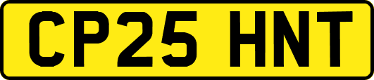 CP25HNT