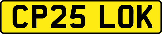 CP25LOK