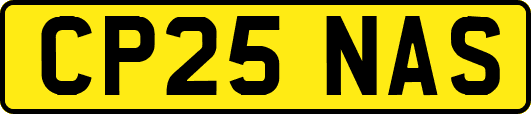 CP25NAS