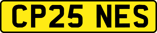 CP25NES