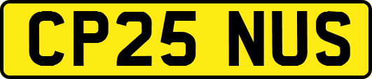 CP25NUS