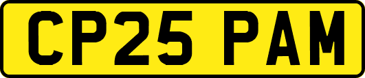 CP25PAM