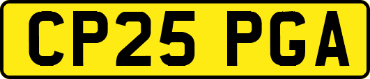 CP25PGA