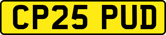 CP25PUD