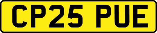 CP25PUE