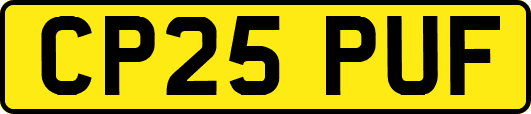 CP25PUF
