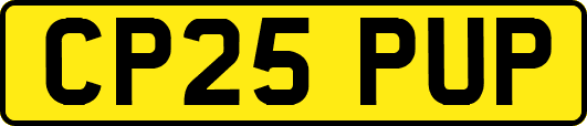 CP25PUP
