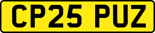 CP25PUZ