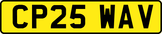 CP25WAV