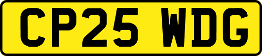 CP25WDG