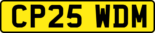CP25WDM