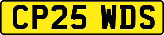 CP25WDS