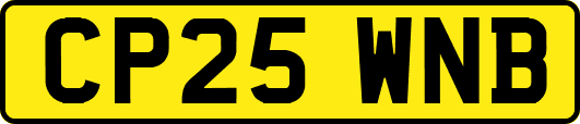 CP25WNB
