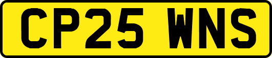 CP25WNS