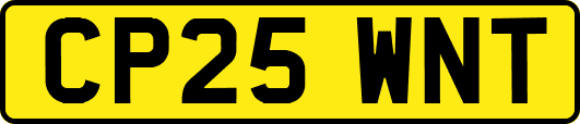 CP25WNT