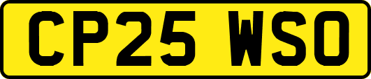 CP25WSO