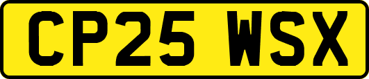 CP25WSX