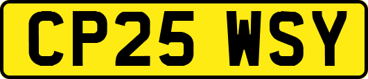 CP25WSY
