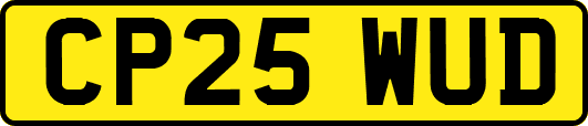 CP25WUD