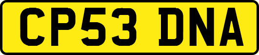 CP53DNA