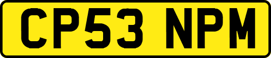 CP53NPM