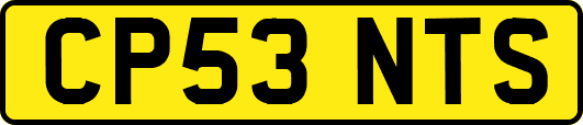 CP53NTS