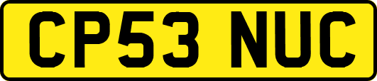 CP53NUC