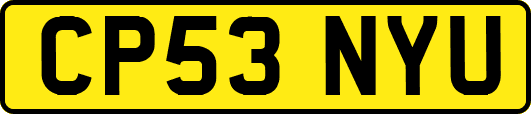 CP53NYU