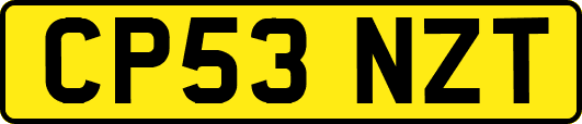 CP53NZT