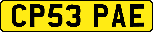 CP53PAE