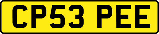 CP53PEE