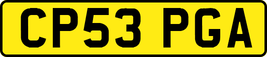 CP53PGA
