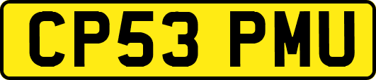 CP53PMU