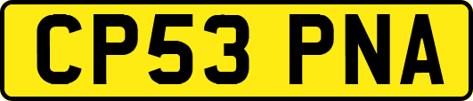 CP53PNA