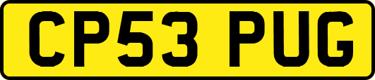 CP53PUG