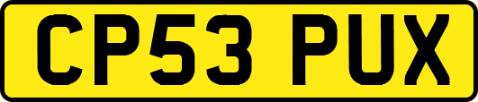 CP53PUX