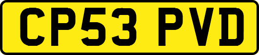 CP53PVD