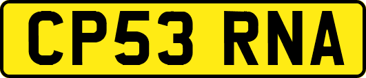 CP53RNA