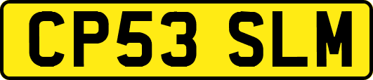 CP53SLM