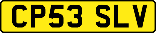 CP53SLV