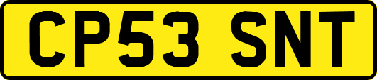 CP53SNT