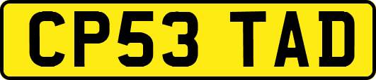 CP53TAD