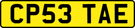 CP53TAE