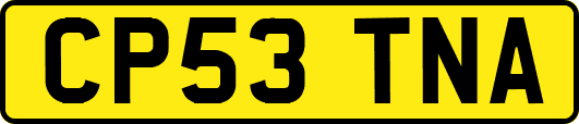 CP53TNA